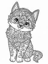 Coloring Pages Kitten Adults Zentangle Printable Adult Bright Teens Colors Favorite Choose Color sketch template
