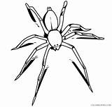 Coloring Pages Coloring4free Insect Spider Related Posts sketch template