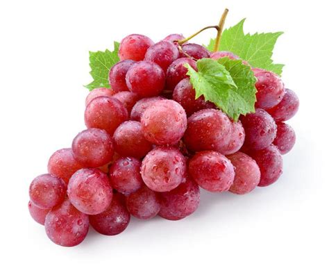 menanam buah anggur hasilkan panen berlimpah