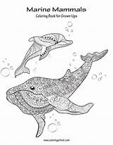 Mammals Grown Marine Coloring Book sketch template