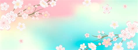 cherry blossom festival banner background  vectors  psd files    pngtree