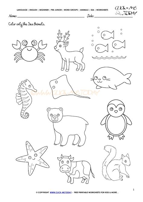sea animals worksheet activity sheet color