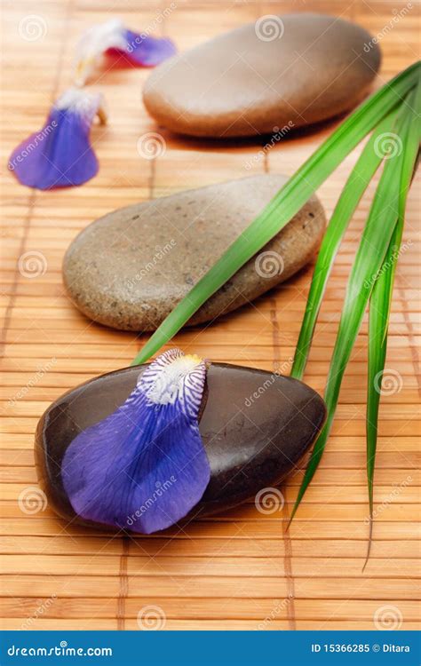 tranquil spa stock image image  feng healthy healthcare