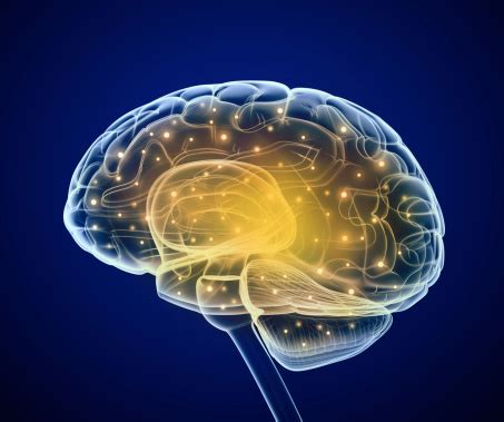 neural network filters weak  strong external stimuli   brain     decisions
