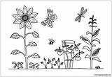 Garden Pages Coloring Vegetable Color Gardens Kids Adults sketch template