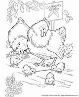 Coloring Chicken Pages Farm Animal Chickens Kids Printable Sheets Bird Early Worm Gets Cute Honkingdonkey Sheet Print Colouring Adult Animals sketch template