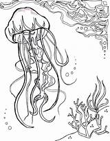 Coloring Ocean Pages Jellyfish Sea Nautical Sheet Realistic Adults Drawing Jelly Fish Deep Print Printable Star Aquatic Getdrawings Sheets Summer sketch template