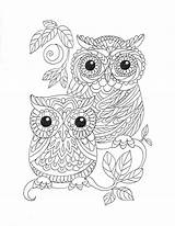 Coloring Kindle Book Artist Pages Amazon Velman Irina Adults Edition Books Owl sketch template