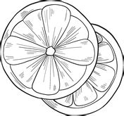 oranges coloring pages  coloring pages