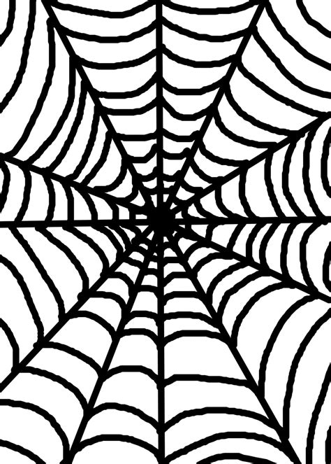 black spider web  stock photo public domain pictures