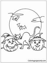 Cat Bats Pages Coloring Color Pumpkin Halloween Online sketch template