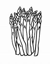Asparagus Allesl sketch template