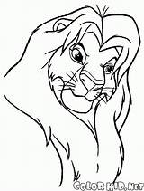 Mufasa Roi Lion Rei Juste Colorkid Leone Leão Coloriages Clipartmag Apenas Justo sketch template