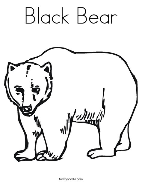 american black bear coloring page  printable coloring pages