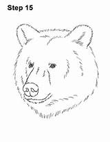 Grizzly How2drawanimals sketch template