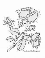 Stencil Rose Flower Freestencilgallery sketch template