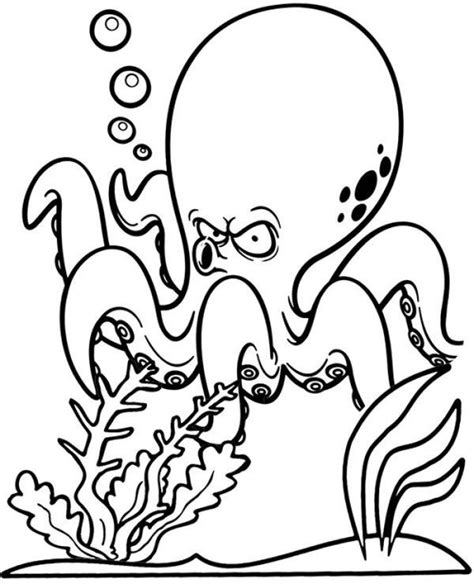 octopus coloring pages  printable  coloring sheets octopus