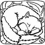 Coloring Fox Pages Animal Renard Coloriage Foxes Animals sketch template