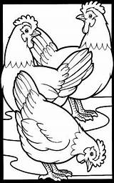 French Drawing Hen Hens Coloring Pages Three Bird Choose Board Days Paintingvalley Chicken sketch template
