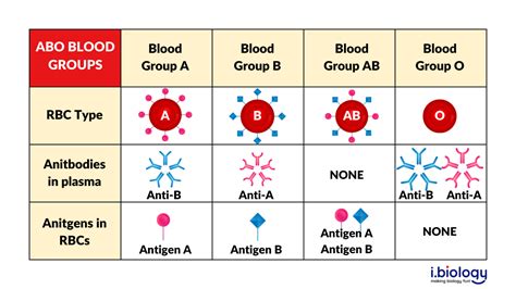 blood antigen chart