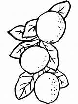 Lemon Coloring Pages Fruits Color Kids Recommended sketch template