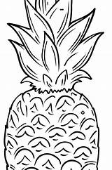 Pineapple Fruits sketch template