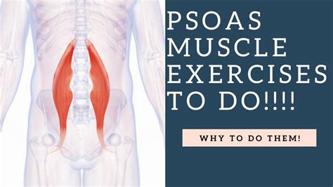 Best Psoas Muscle Exercises To Do To Strengthen And Stretch This Hip