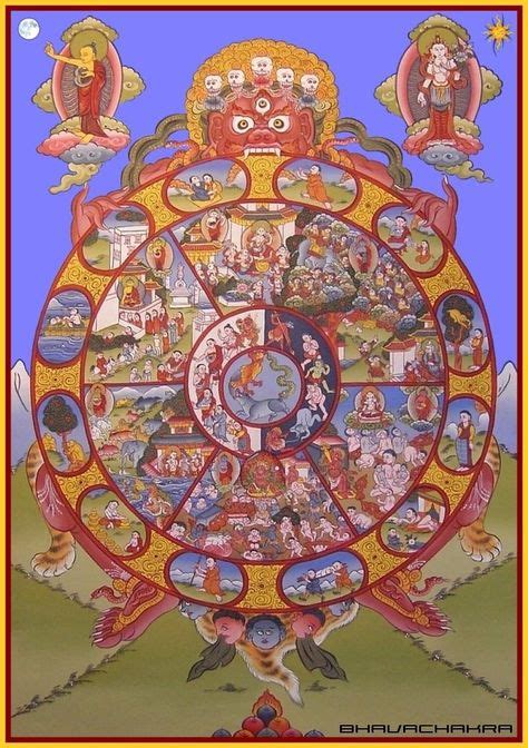 samsara   cycle  reincarnation   buddhist symbols wheel  life buddhism