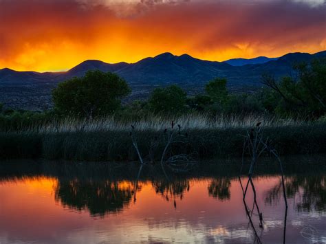 A Summer Evening In The Bosque Del Apache In Light Of Nature