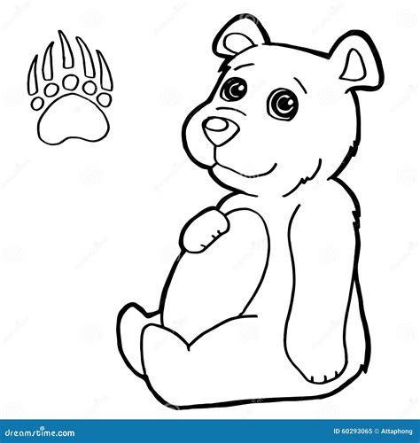 bear  paw print coloring page vector stock vector illustration