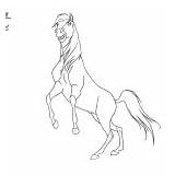 Riding Spirit Coloring Pages Pru Chica Linda Tagged Horse Posted Girl sketch template