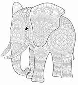 Elefante Mandalas Animales Elefantes Faciles Animal Visitar sketch template