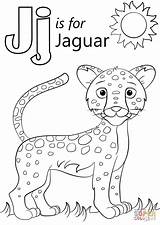 Jaguar Coloring Letter Pages Printable Color Preschool Sheets Kids Crafts Alphabet Supercoloring Animals Print Jungle Animal Words Coloringpagesfortoddlers Jacksonville Jaguars sketch template