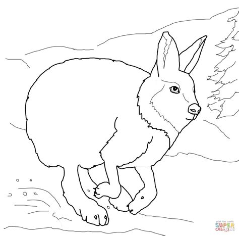 running arctic hare coloring page  printable coloring pages