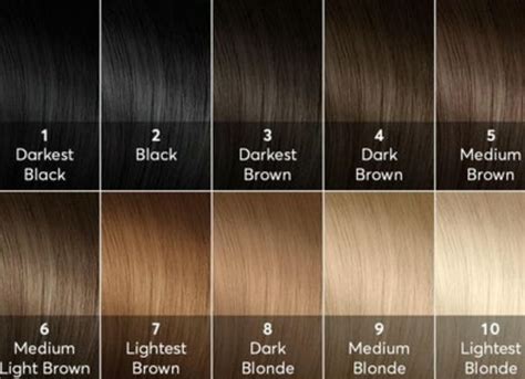 blonde hair color chart brown hair color chart brown hair color shades hair color guide hair