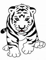 Tiger Coloring Pages Cub Cute Getdrawings sketch template