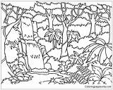 Forest Coloring Pages Enchanted Getcolorings sketch template