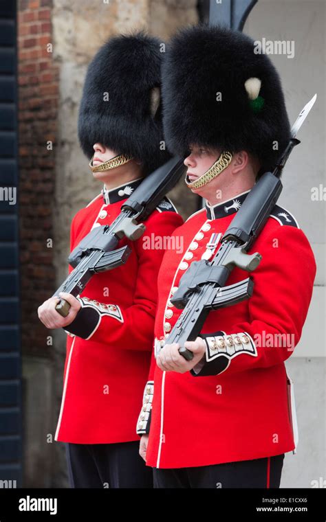 queens guards grenadier guard  welsh guard royal guards
