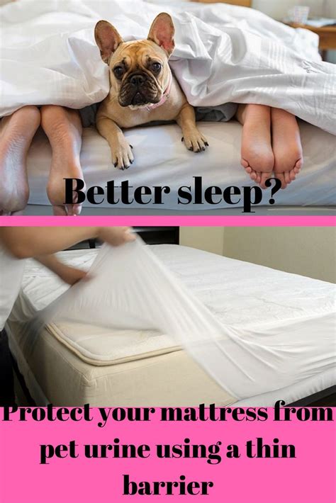 protect  mattress   stain  httpwww