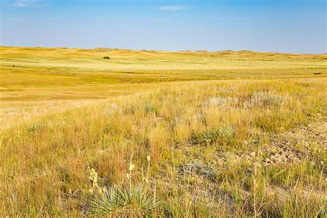 largest national grasslands   united states worldatlas