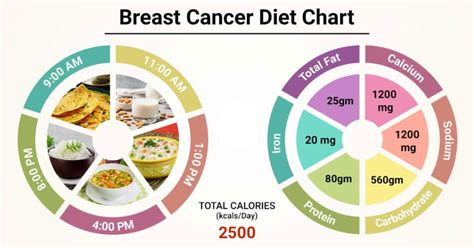 breast cancer types symptoms treatment diet guidelines