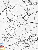 Number Color Dolphin Coloring Pages Animal Hellokids sketch template
