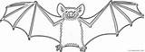 Bat Coloring Coloring4free Related Posts sketch template
