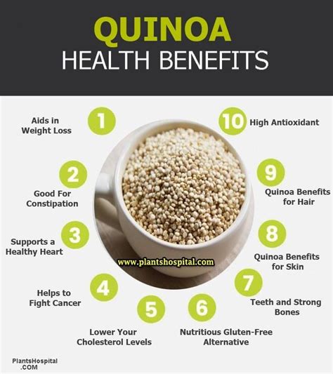 health benefits benefits  quinoa chenopodium quinoa willd quinoa health benefits