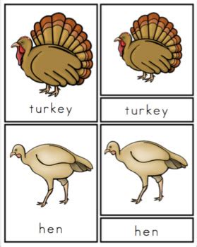 turkey life cycle sequencing craft  preschool printable tpt