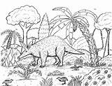 Aardvark Congo Coloring Jungle Buttonquail Pages Robin Great sketch template