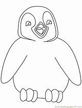 Penguin Coloring Pages Penguins Printable Tacky Cartoon Cute Christmas Kids Winter Colouring Color Print Clipart Popular Ai Line Coloringhome Animal sketch template