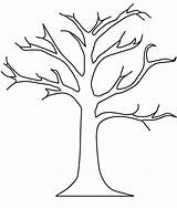 Konar Drzewo Kolorowanka Drzewa Druku Rysunek Starannie Przedstawia Przed Pierwsze Ogromny Kilkoma Zadań Wraz Wami Kilka sketch template