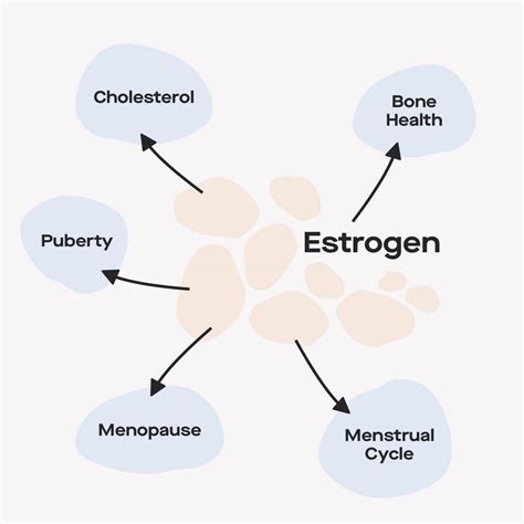 signs  symptoms  high   estrogen levels