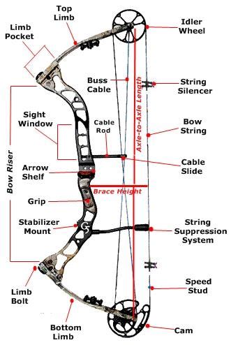 compound bow diagram bow hunt pinterest caza arco  armas